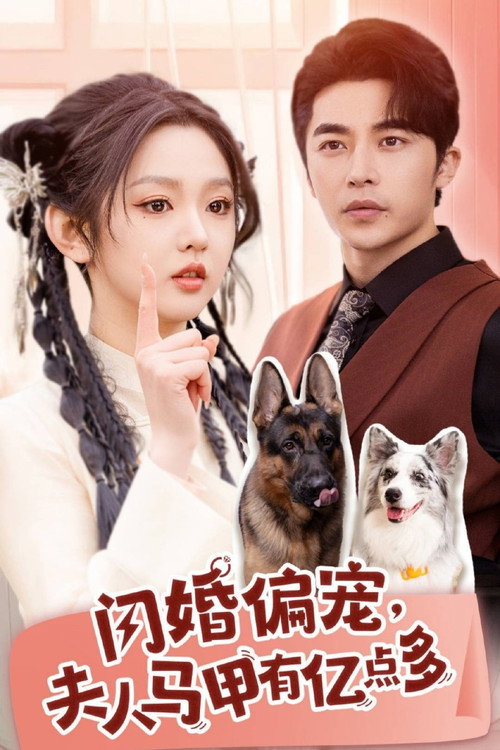 闪婚偏宠, 夫人马甲有亿点多