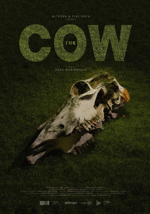 The Cow