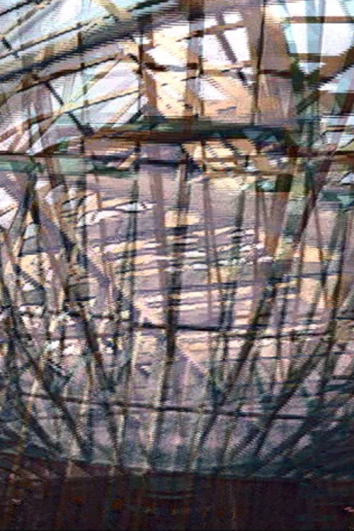 Aperspectival House Variation