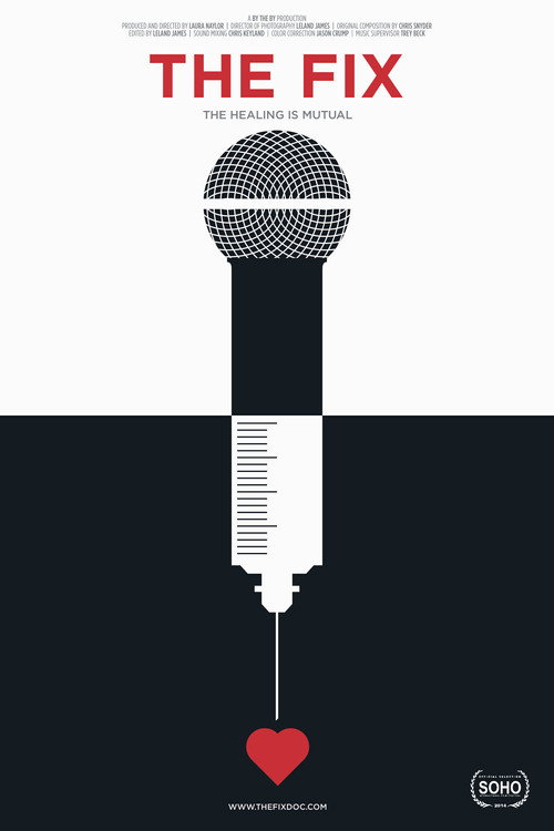 The Fix (2014) poster