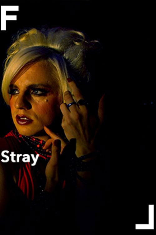 Stray