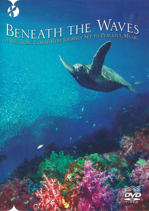 Beneath the Waves (2010) poster