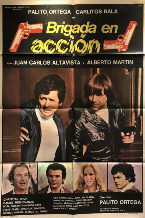 Brigada en acción