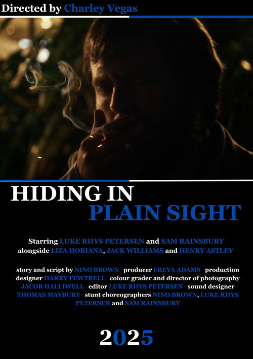 Hiding in Plain Sight