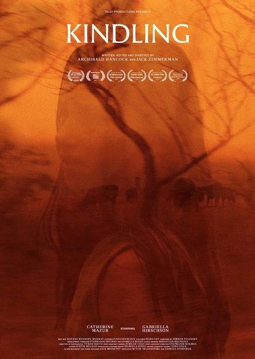 Kindling poster