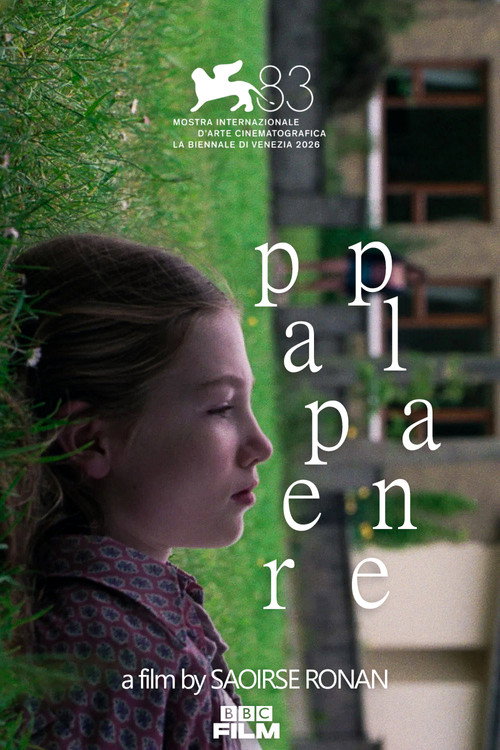 Paper Plane