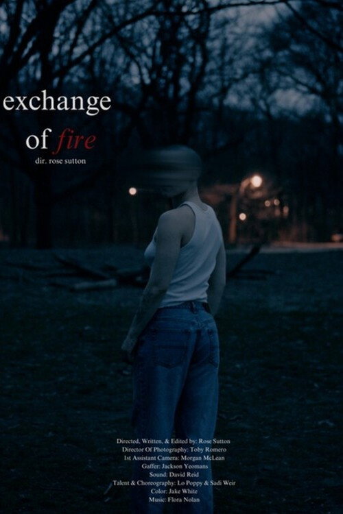 Exchange of Fire