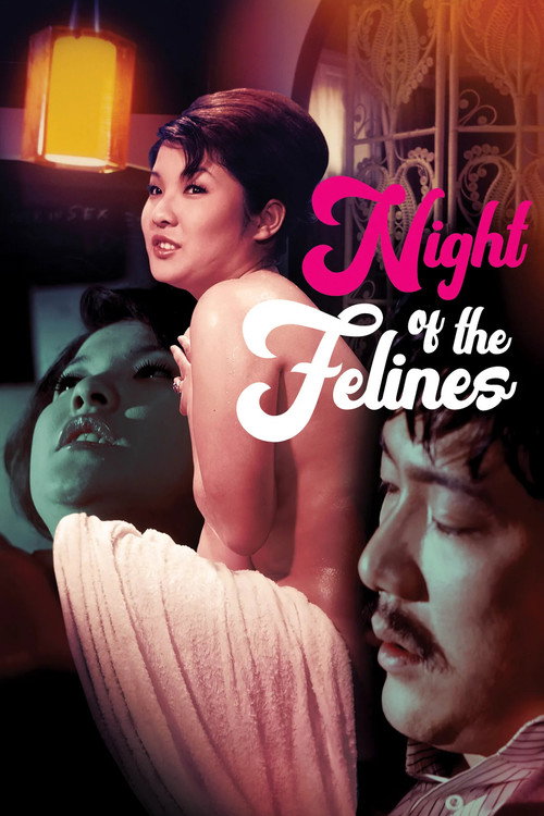 Night of the Felines