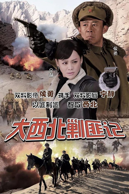 大西北剿匪记