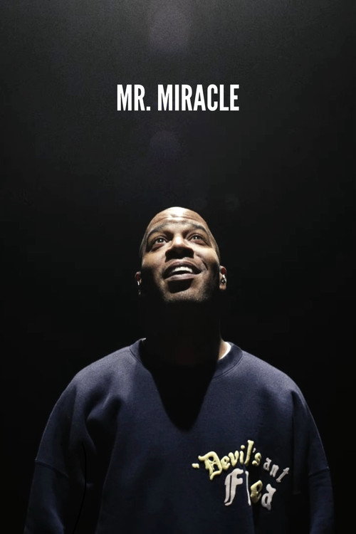 Mr. Miracle