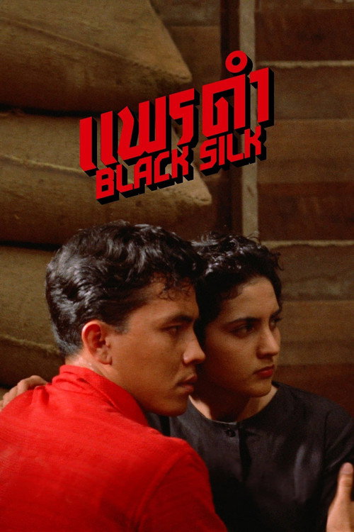 Black Silk (1961) poster
