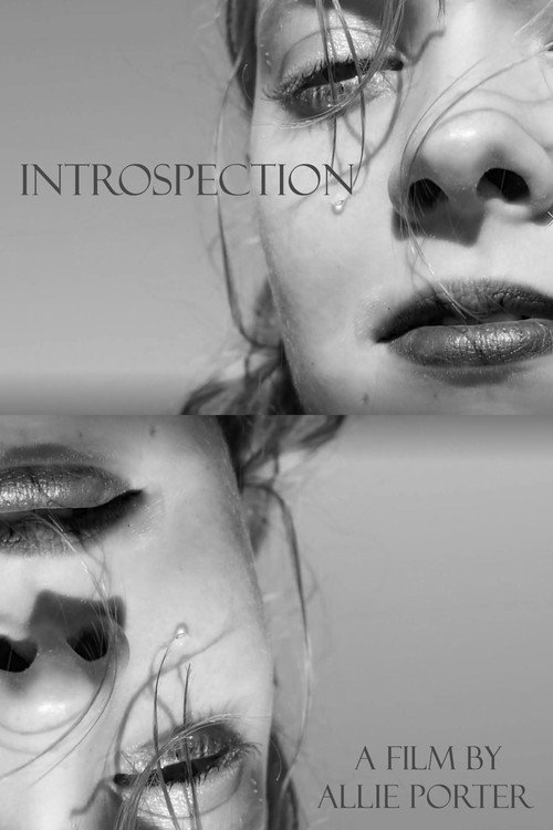 Introspection poster
