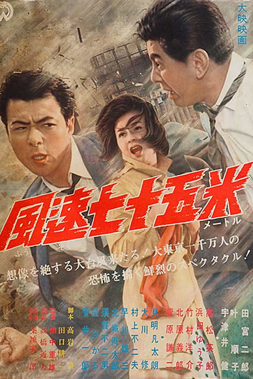 Typhoon Reporter