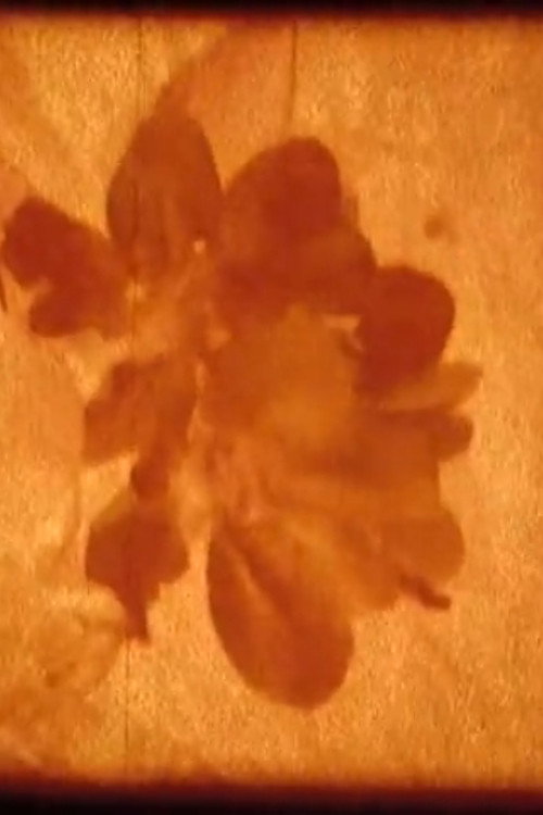 Magma (2012) poster