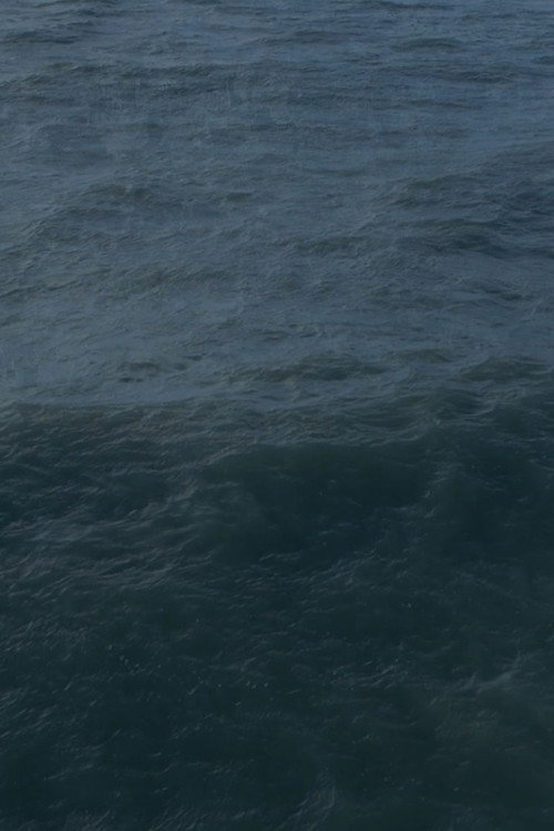 Twenty Nine Minutes at Sea