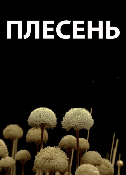 Mold (2009) poster