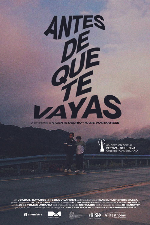 Before You Go (2022) poster