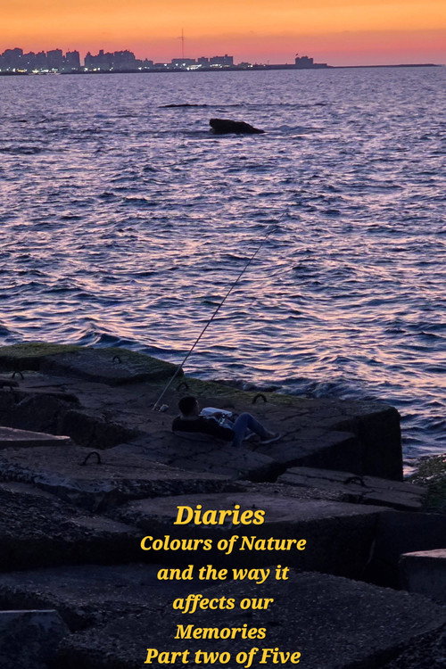 Diaries: Colours of Nature and the Way It Affects Our Memories.