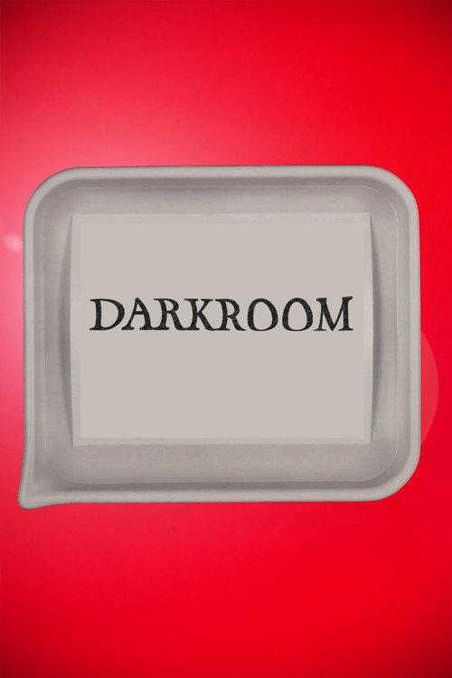 Darkroom (2025) poster