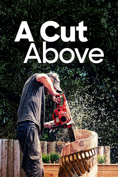A Cut Above (2022) poster