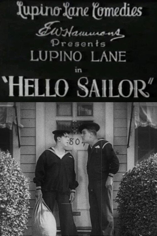Hello Sailor (1927) poster