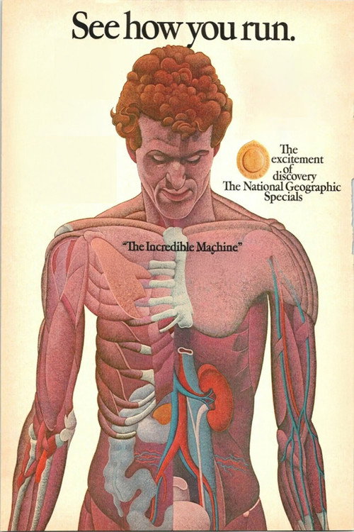 The Incredible Machine