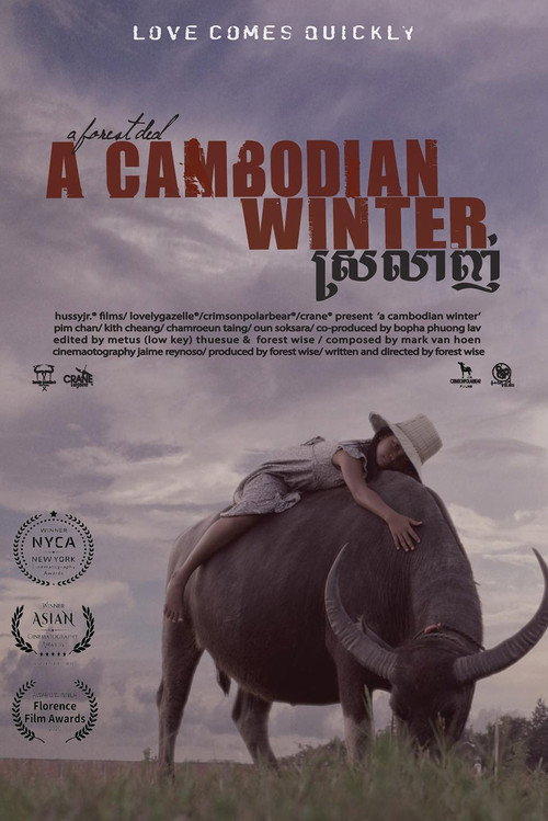 A Cambodian Winter