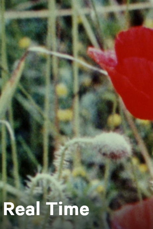 Real Time (1971) poster