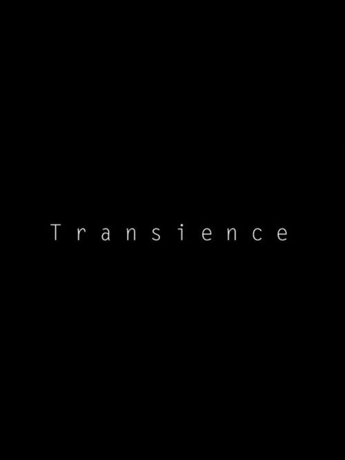 Transience (2013) poster