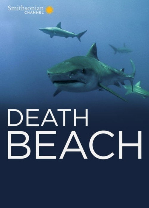 Death Beach (2012) poster