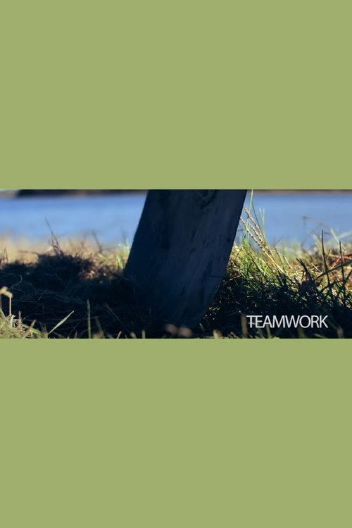 Teamwork (2017) poster