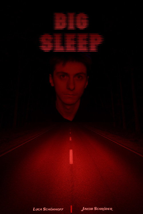 BIG SLEEP (2025) poster