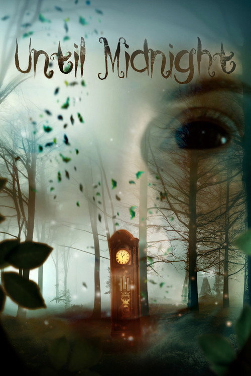 Until Midnight (2023) poster