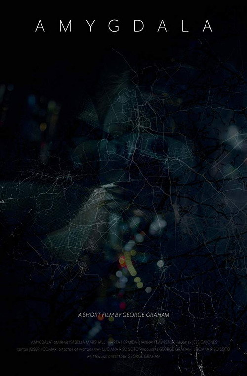 Amygdala (2016) poster