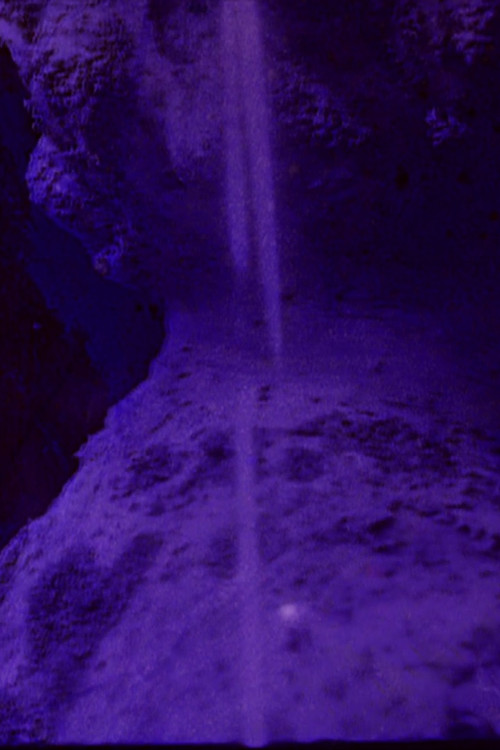 CICATRIX (2014) poster