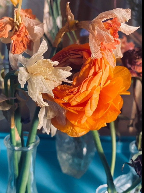 Blooming (2022) poster