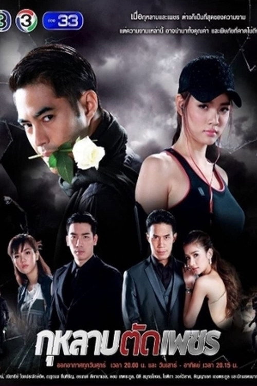 Rose Cuts Diamond (2016) poster