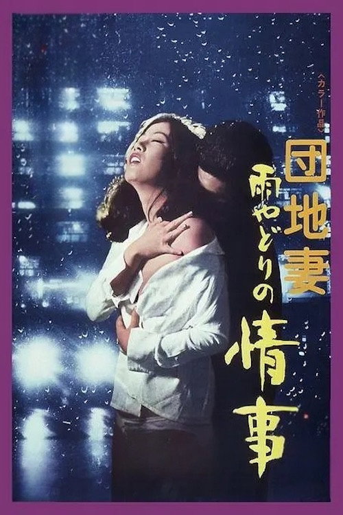 A Rainy Night Affair