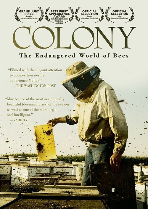 Colony (2009) poster