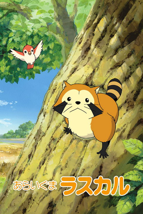 Rascal the Raccoon