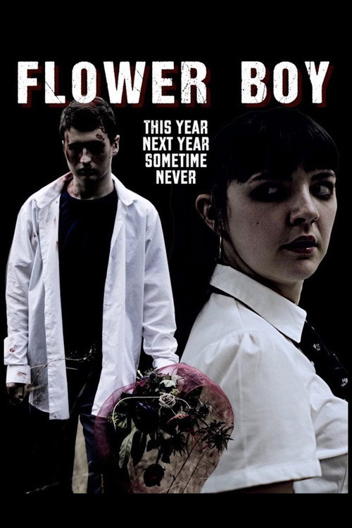Flower Boy (2019) poster