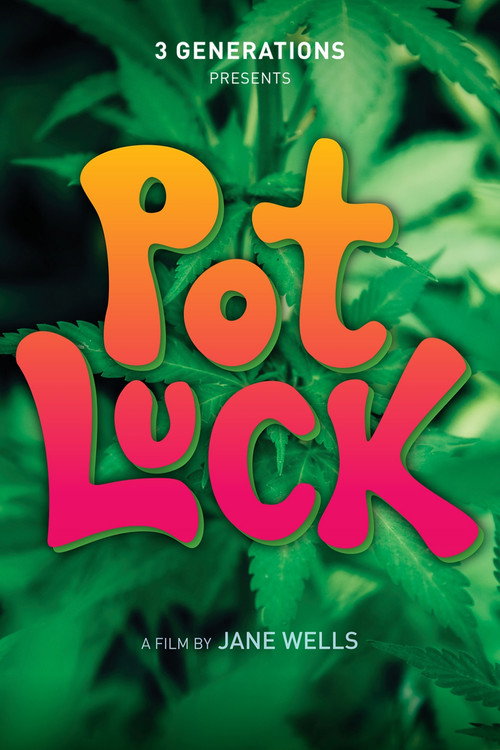 Pot Luck (2020) poster