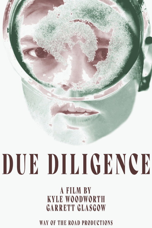 Due Diligence (2026) poster