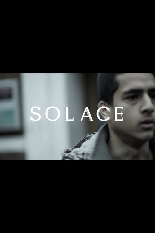 Solace (2013) poster