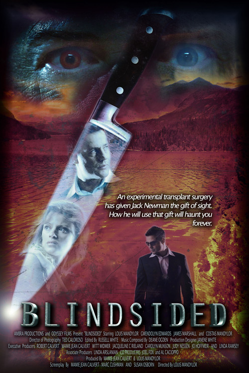 Blindsided (2018) poster