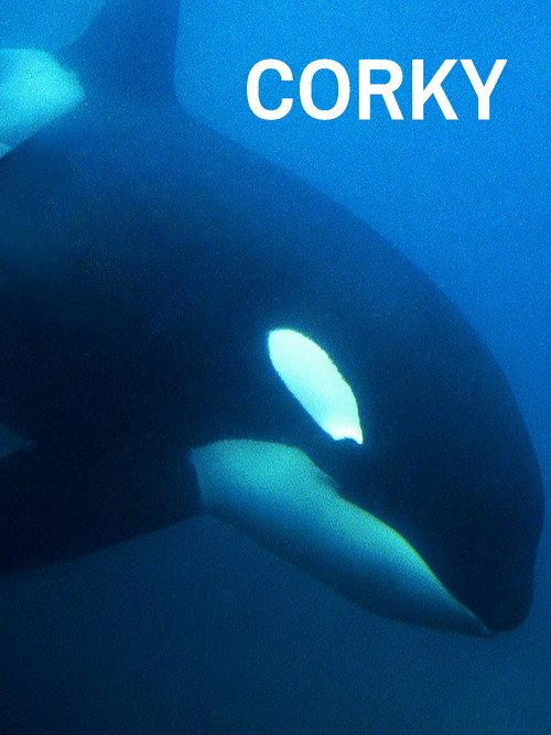 CORKY poster