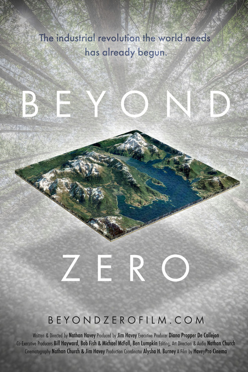 Beyond Zero (2020) poster