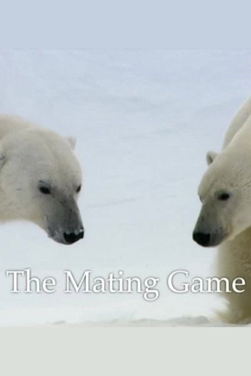 The Mating Game (2013) poster
