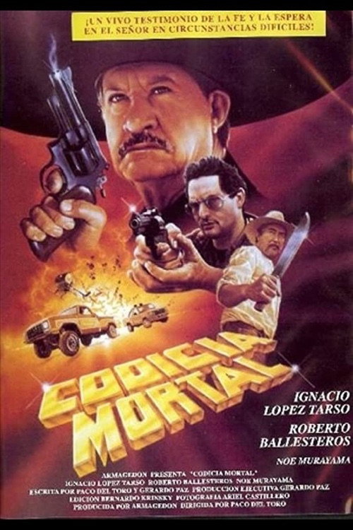 Codicia mortal (1991) poster