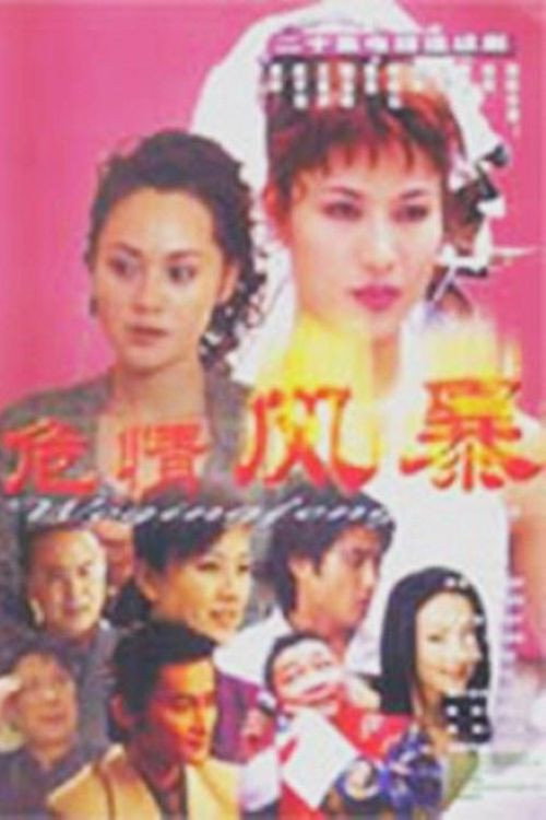 危情风暴